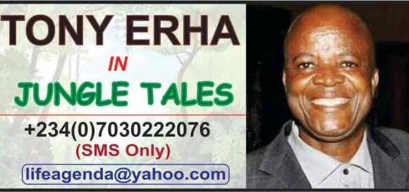 el-Rufai, the tortoise, the king and the people, By Tony Erha